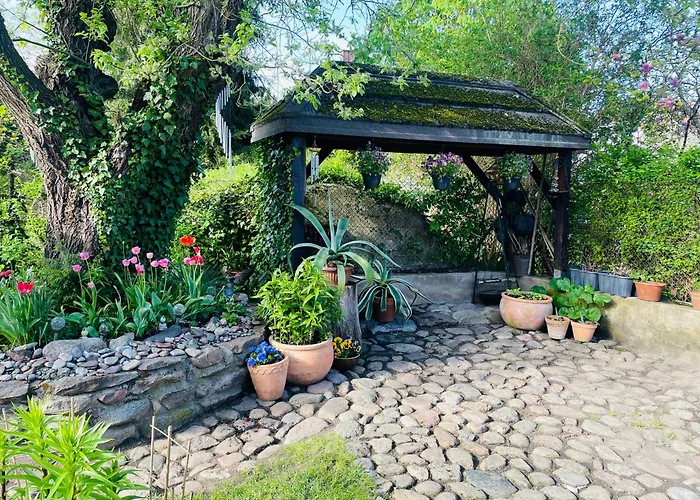 Baltic Dunya Casa vacanze